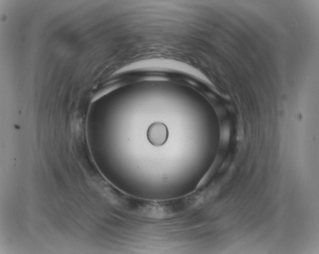 X0000085300276200703231906