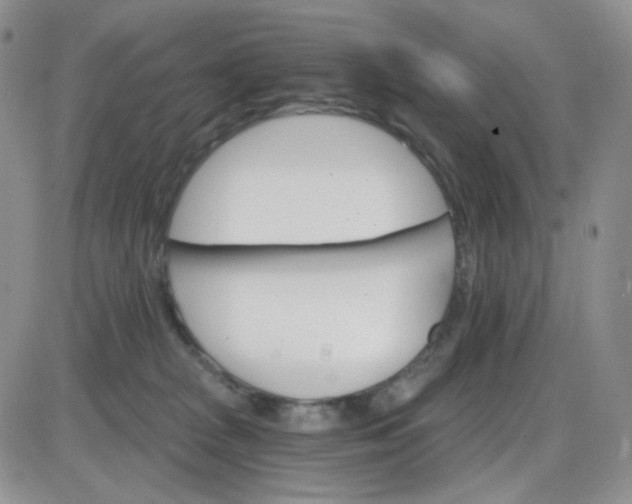 X0000085300277200703231906