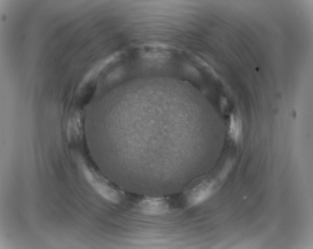 X0000085300280200703231906