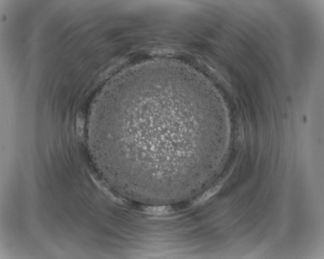 X0000085300281200703231906