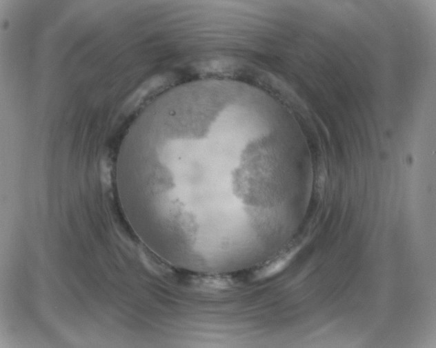 X0000085300282200703231906