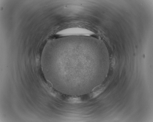 X0000085300283200703231906