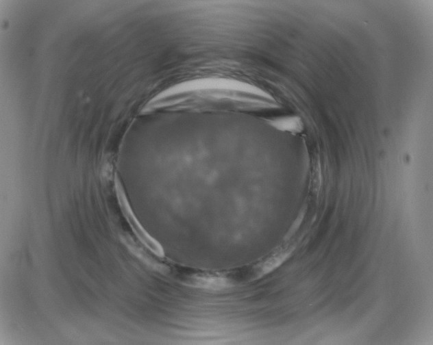 X0000085300284200703231906