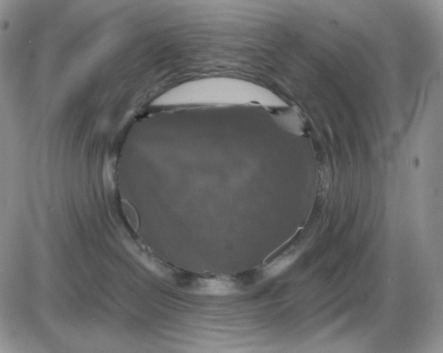 X0000085300286200703231906