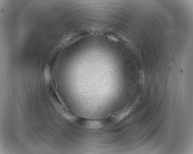 X0000085300287200703231906