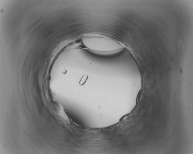 X0000085300289200703231905