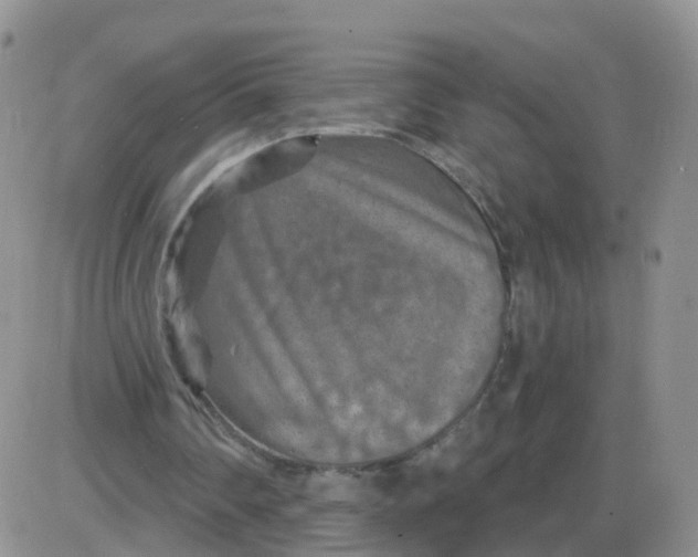 X0000085300290200703231905