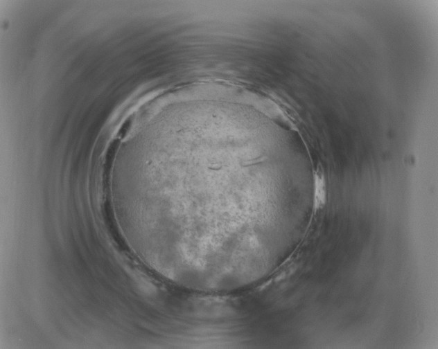 X0000085300291200703231905