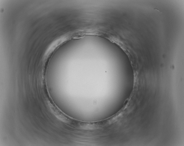 X0000085300293200703231905