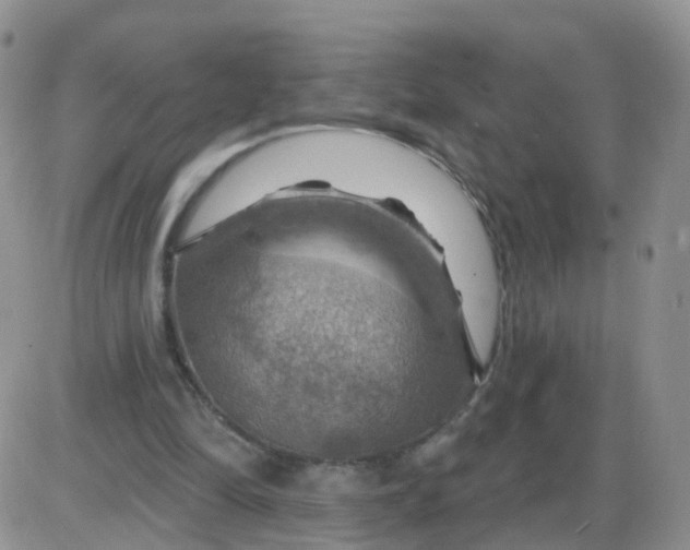 X0000085300294200703231905