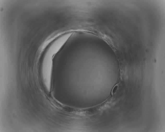 X0000085300295200703231905