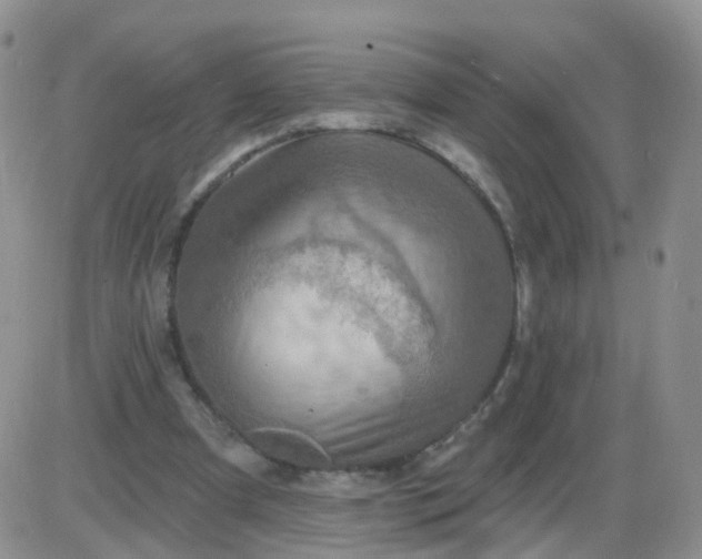 X0000085300297200703231905