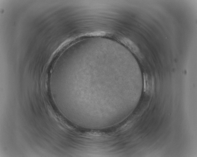 X0000085300300200703231905