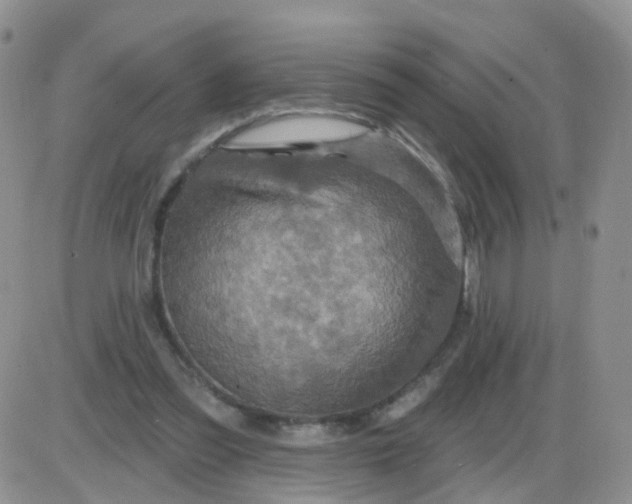 X0000085300301200703231905