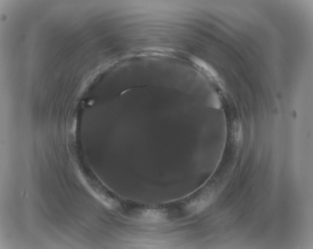 X0000085300303200703231905