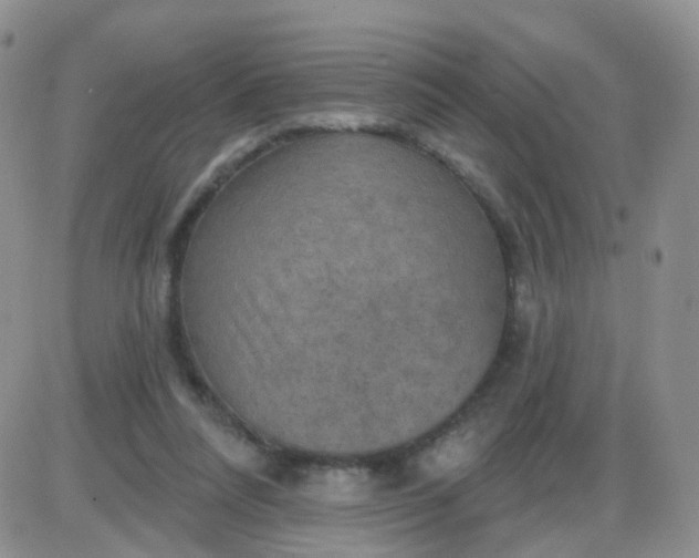 X0000085300304200703231905