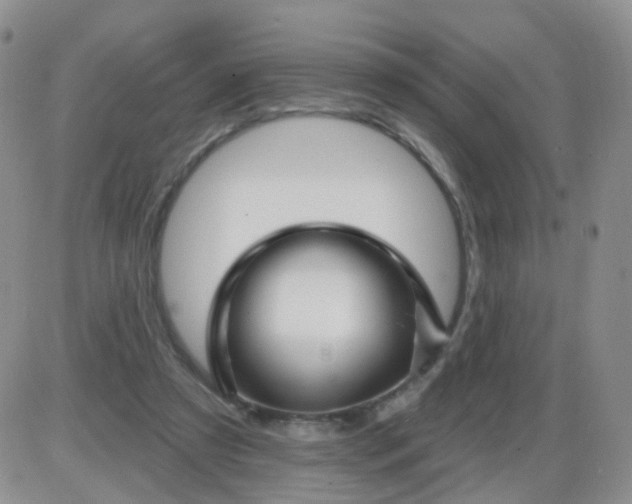 X0000085300305200703231905