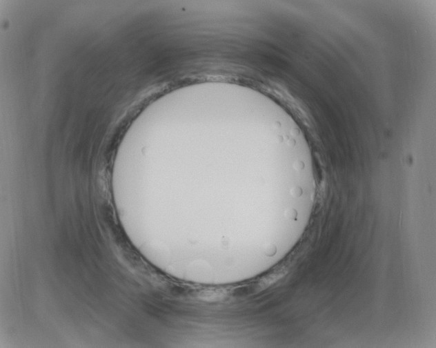 X0000085300306200703231905