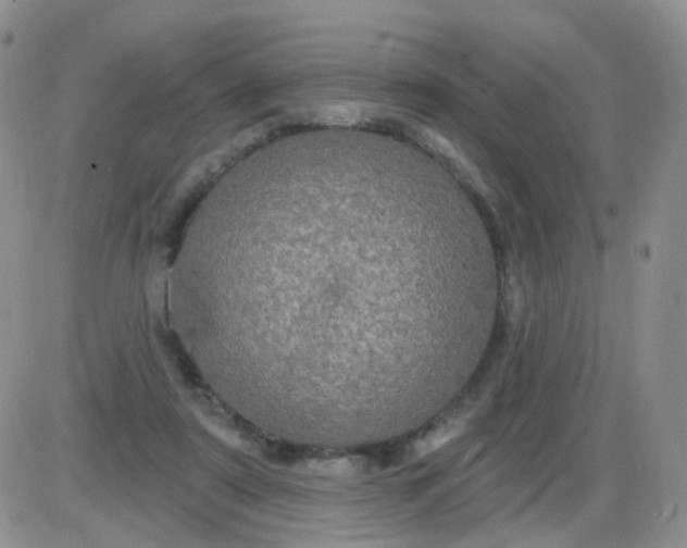 X0000085300307200703231905