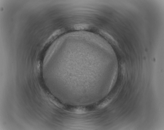 X0000085300308200703231905