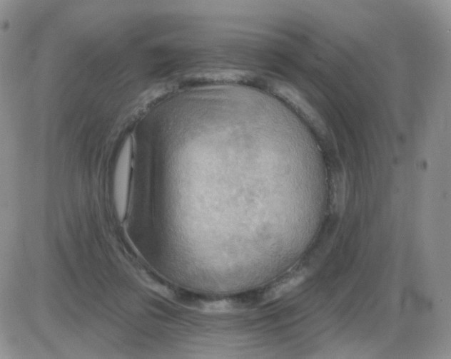 X0000085300309200703231905