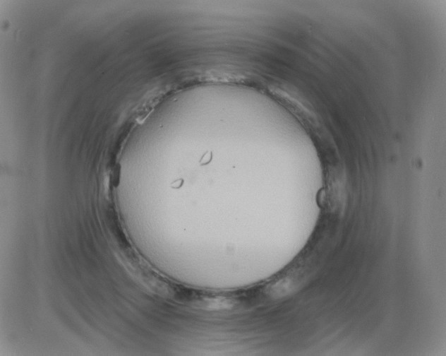 X0000085300310200703231905