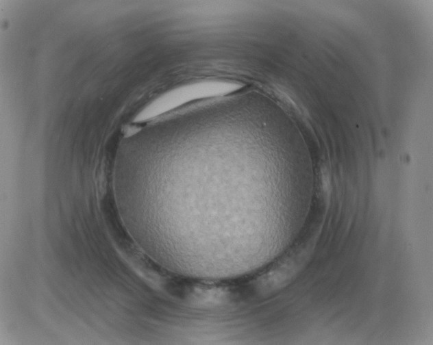 X0000085300311200703231905