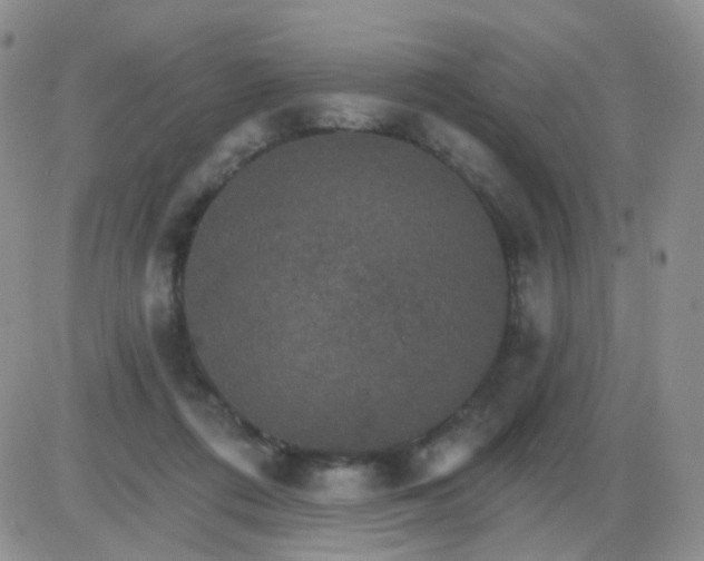 X0000085300312200703231905