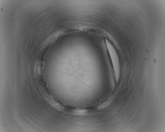 X0000085300313200703231905