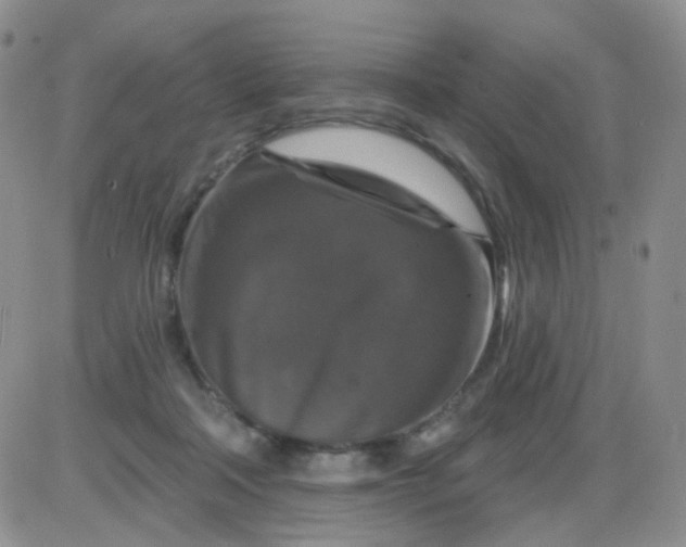 X0000085300314200703231905