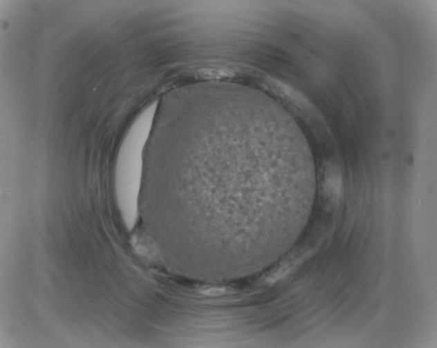 X0000085300315200703231905