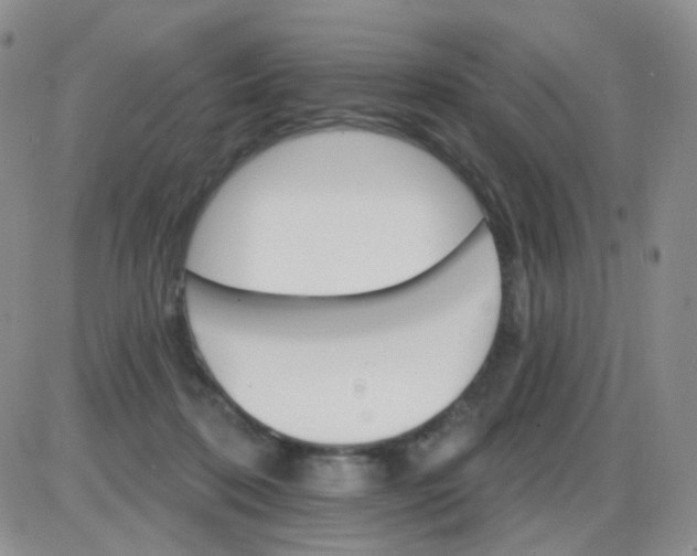 X0000085300316200703231905