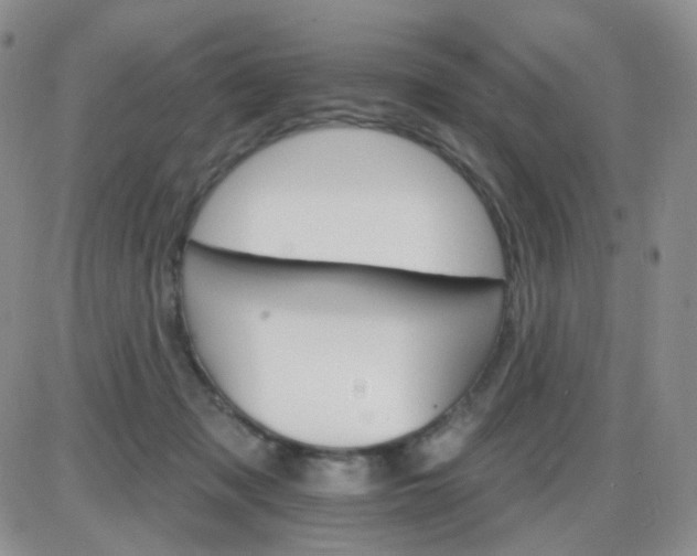 X0000085300317200703231905