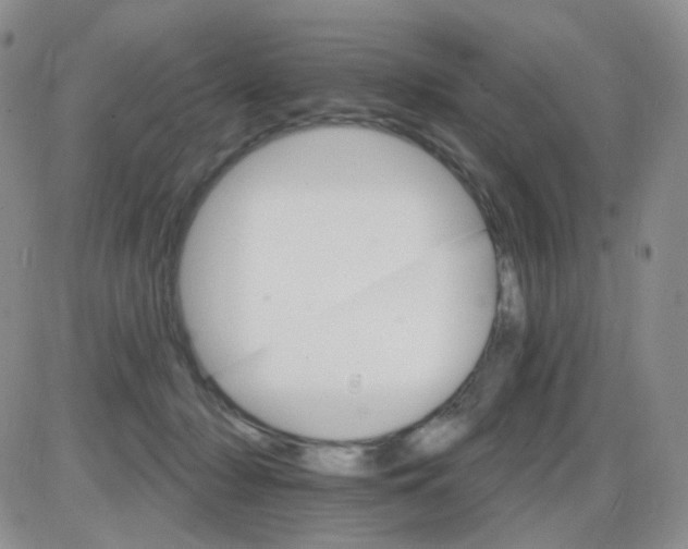 X0000085300318200703231905