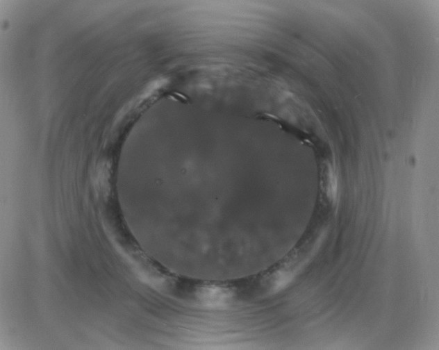 X0000085300319200703231905