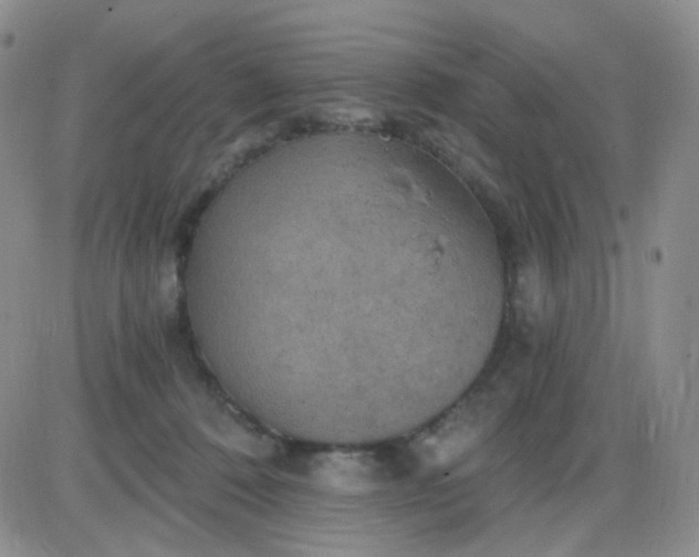 X0000085300320200703231905