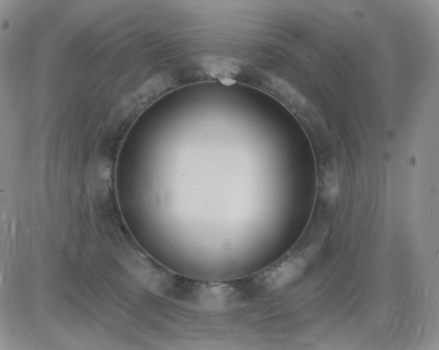 X0000085300321200703231905