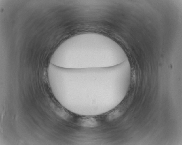 X0000085300322200703231905