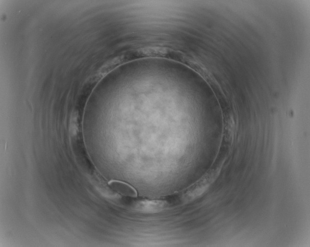 X0000085300323200703231905