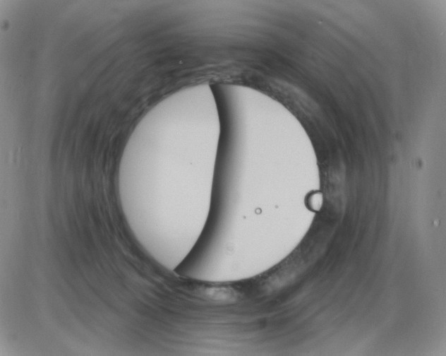 X0000085300324200703231905