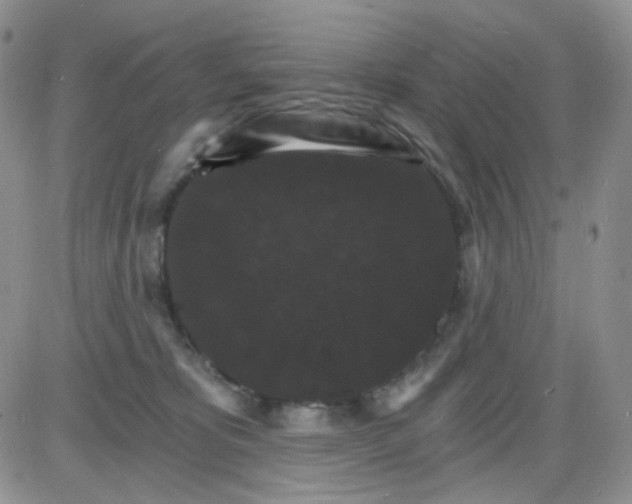 X0000085300325200703231905