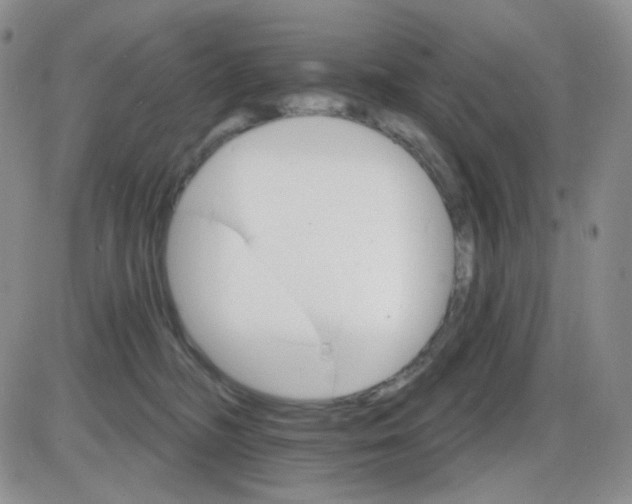 X0000085300326200703231905