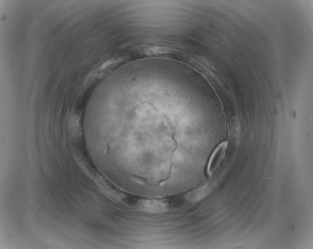 X0000085300327200703231905