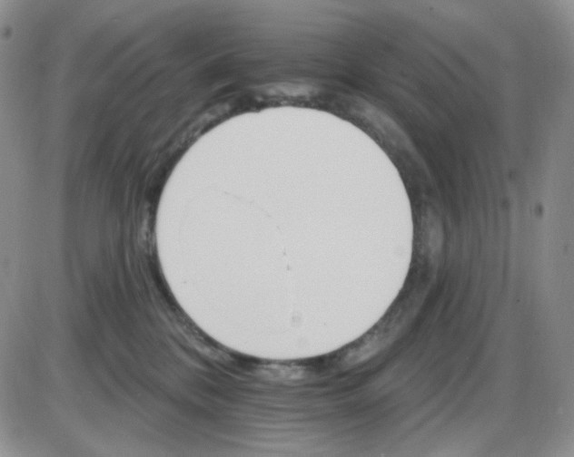 X0000085300328200703231905