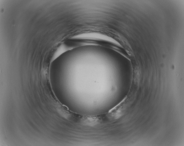 X0000085300329200703231904