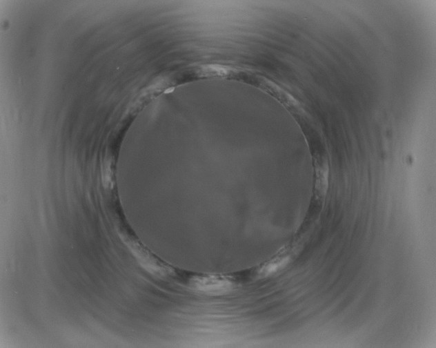 X0000085300331200703231904