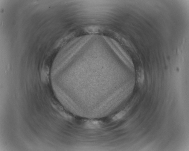 X0000085300332200703231904