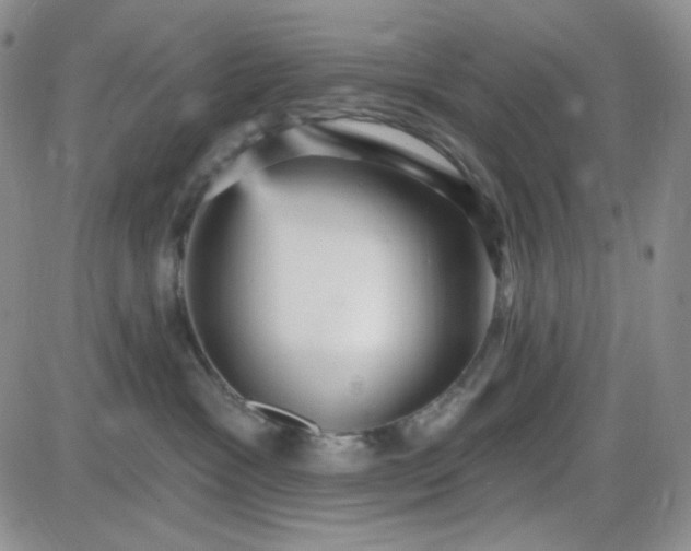 X0000085300333200703231904