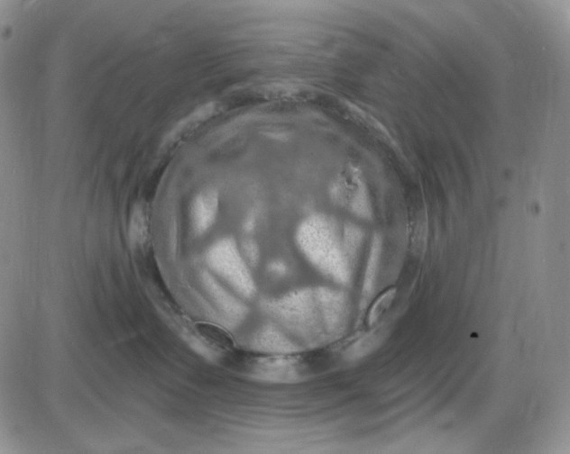 X0000085300335200703231904