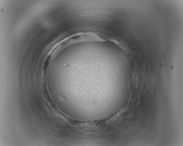 X0000085300338200703231904